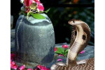 Sarpa Archana